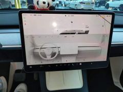 Tesla Model Y Rear-Wheel Drive - ფოტო 12