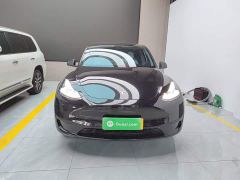 Tesla Model Y Rear-Wheel Drive - ფოტო 2