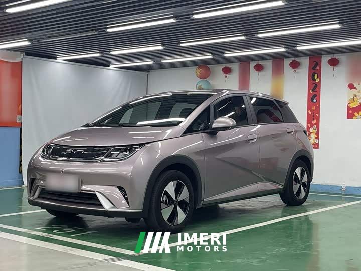 BYD Dolphin 420km Freedom Edition - ავტომობილი ჩინეთიდან