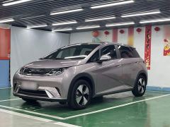 BYD Dolphin 420km Freedom Edition - ფოტო 1