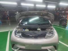 BYD Dolphin 420km Freedom Edition - ფოტო 19