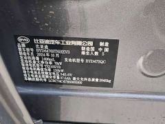 BYD Song Pro New Energy 2nd Gen DM-i 75KM Leading Edition - фото 10