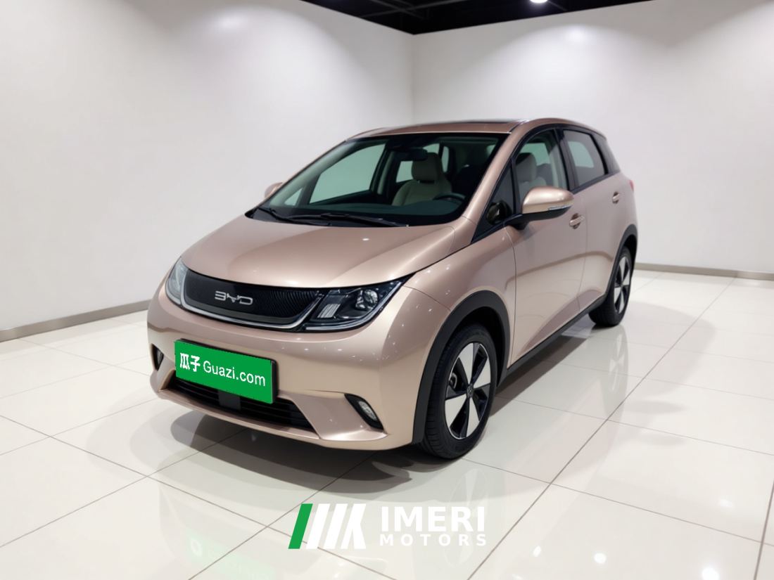 BYD Dolphin 420km Edition - ავტომობილი ჩინეთიდან