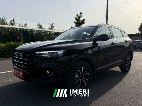 2025 Haval H6 Edition 1.5T 2WD Edition - car from China