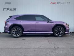 Honda P7 AWD Long Range Max - ფოტო 6
