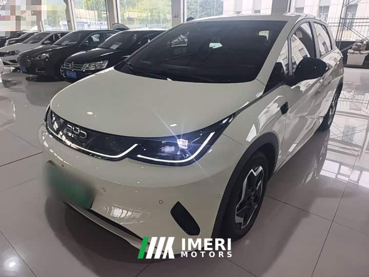 BYD Dolphin Smart Drive 420km Freedom Edition