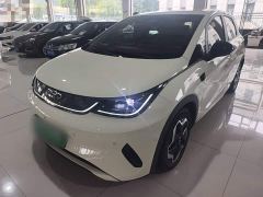 BYD Dolphin Smart Drive 420km Freedom Edition - photo 1