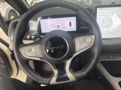 BYD Dolphin Smart Drive 420km Freedom Edition - photo 10