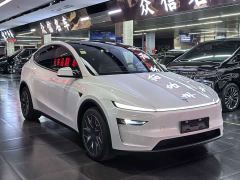 Tesla Model Y L Long Range All-Wheel Drive - ფოტო 3
