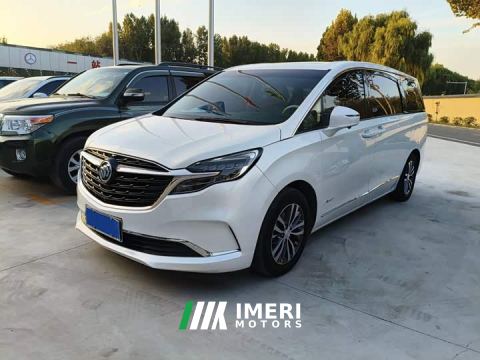 2022 Buick GL8 ES Land Respect 653T Luxury