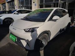 BYD Seagull 305km Vitality Edition - ფოტო 1
