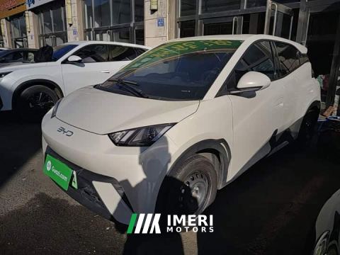 2025 BYD Seagull 305km Vitality Edition - ავტომობილი ჩინეთიდან