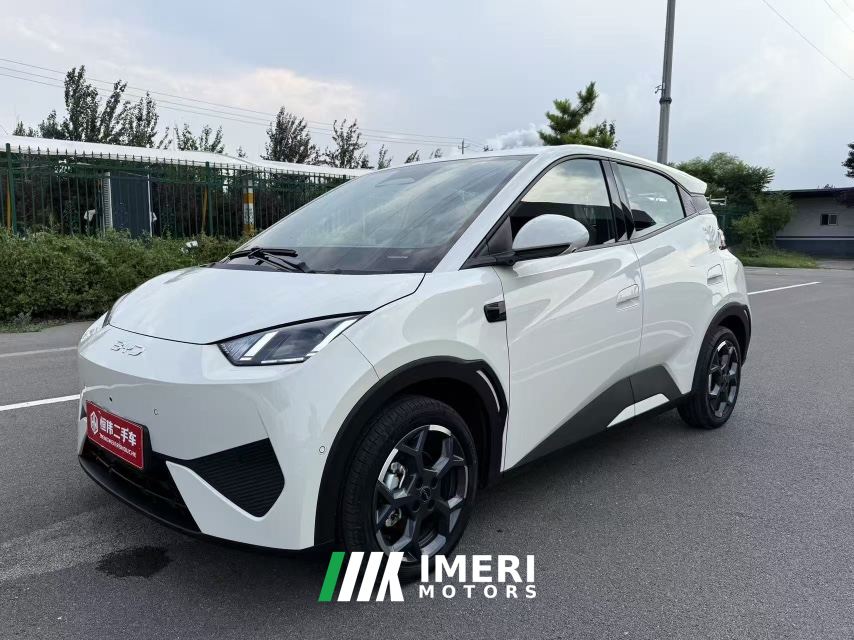 BYD Seagull Smart Drive Edition 405km Edition - ავტომობილი ჩინეთიდან