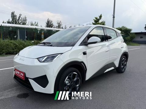 2025 BYD Seagull Smart Drive Edition 405km Edition - ავტომობილი ჩინეთიდან