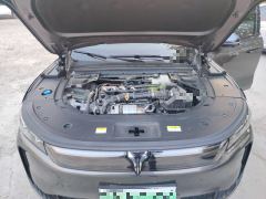 Voyah Lantu FREE 318 318km RWD World Tour Edition - photo 16