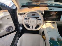 Voyah Lantu FREE 318 318km RWD World Tour Edition - photo 6