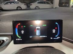 BYD Seagull Glory Edition 405km Flying Edition - ფოტო 11
