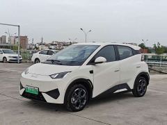 BYD Seagull Smart Driving Edition 305km Freedom Edition - ფოტო 1