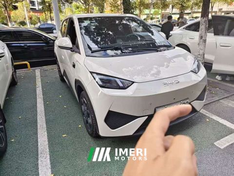 2025 BYD Seagull Smart Drive 405km Flight Edition - car from China