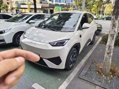BYD Seagull Smart Drive 405km Flight Edition - ფოტო 2