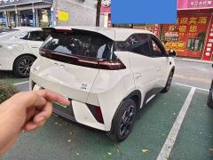 BYD Seagull Smart Drive 405km Flight Edition - ფოტო 3
