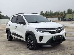 Dongfeng Nano EX1 Nanotech EX1 PRO Deluxe Edition - фото 3