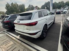 Audi Q6L e-tron Premier Launch Edition - ფოტო 5