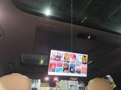 Li Auto L9 Max - ფოტო 17