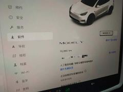 Tesla Model Y Rear-Wheel Drive - ფოტო 11