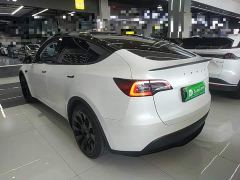 Tesla Model Y Rear-Wheel Drive - ფოტო 4