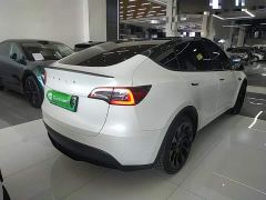 Tesla Model Y Rear-Wheel Drive - ფოტო 6