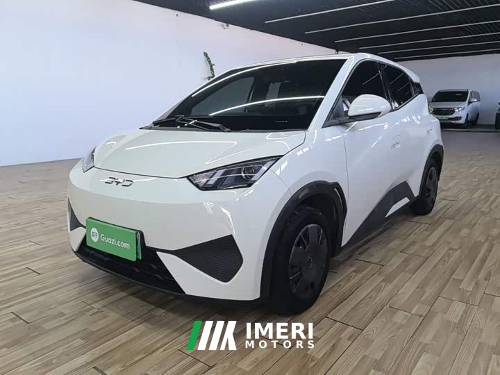 BYD Seagull Smart Drive 305km Vitality Edition - ავტომობილი ჩინეთიდან