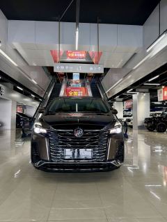 Buick GL8 Land Business Class 652T Luxury Welfare Edition 7-seater - фото 2