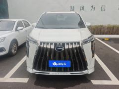 GAC Trumpchi E9 2.0T 136km Champion Edition - photo 3