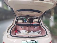 ORA Good Cat 401km Standard Range Deluxe Edition LFP Battery - фото 20