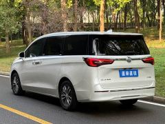 Buick GL8 ES Luxe 653T Prestige - photo 12