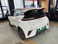 BYD Seagull Smart Driving Edition 305km Freedom Edition - ფოტო 4