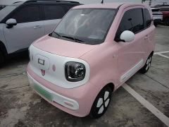 FAW Besturn Xiaoma 222km Dynamic Edition - ფოტო 1