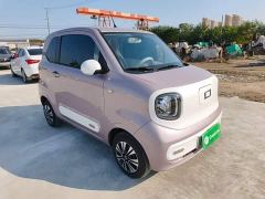 FAW Besturn Xiaoma 222km Colorful Edition - ფოტო 3