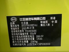 BYD Seagull Flying Edition - photo 17