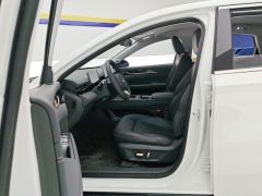 Wuling Starlight PHEV 1.5L 150km Version - ფოტო 14