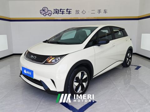 2025 BYD Dolphin 420km Edition - ავტომობილი ჩინეთიდან