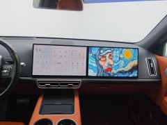 Li Auto L6 Pro - photo 17