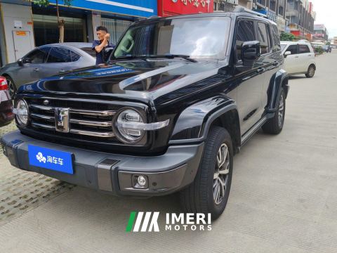 2021 Tank 300 City Edition 2.0T Essential - ავტომობილი ჩინეთიდან