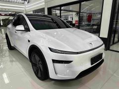 Tesla Model Y Rear-Wheel Drive - ფოტო 3