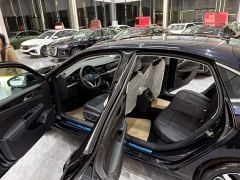 Volkswagen Passat Outstanding Edition 380TSI Starry Sky Dragon Ascendant Version - фото 12