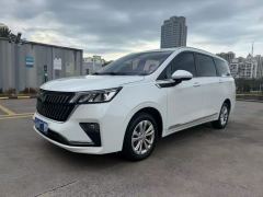 Wuling Jiachen 1.5T CVT Smart Luxury - ფოტო 1
