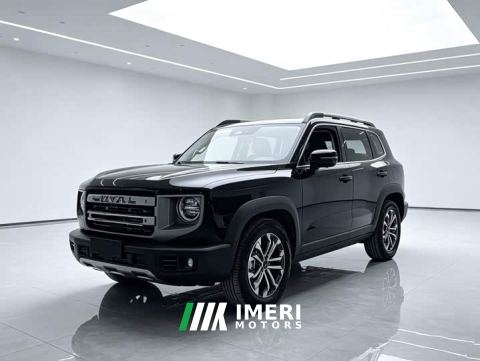 2024 Great Wall Dachshund 1.5T DCT Border Collie Edition - автомобиль из Китая