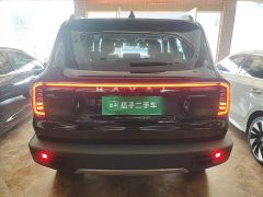 Great Wall Dachshund 1.5T DCT Border Collie Edition - ფოტო 5