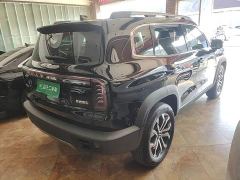 Great Wall Dachshund 1.5T DCT Border Collie Edition - ფოტო 6